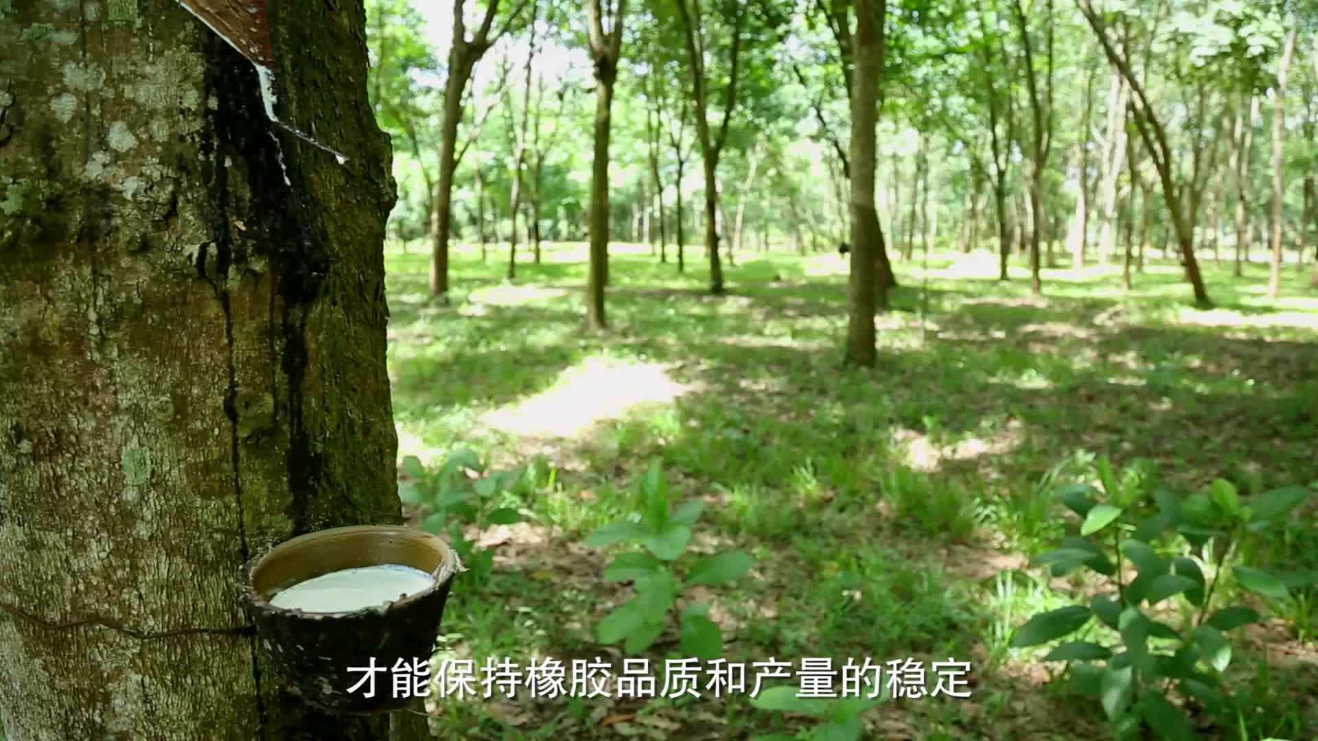 �f��݆̥��һ��݆̥��